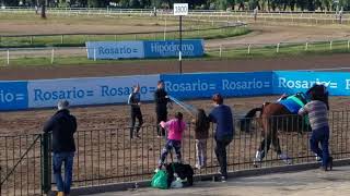 Rosario Hipódromo Independencia