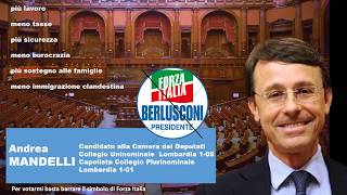 Presentazione di alcuni punti del programma elettorale di Forza Italia di Andrea Mandelli