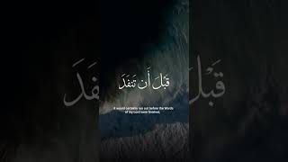 قل لو كان البحر مدادا لكلمات ربي لنفد البحر قبل أن تنفد كلمات ربي #عبدالباسط_عبدالصمد #قرآن #حالات