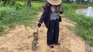 Good Baby monkey takes care of sister with mother in field