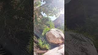 The beauty of the picturesque nature and the singing of running water in Wadi Yabeer in Maris Yemen