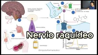 ANTIEMÉTICOS ¿como es su mecanismo de acción? #cancer #ondasetron #vomito #nausea