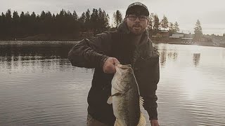 How to catch bass in cold water!