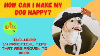 How can I make my dog happy? | 14 tips proven to help you