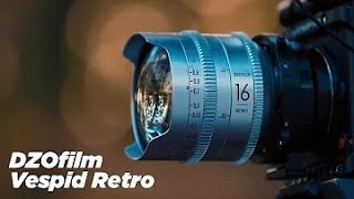 DZOFILM Vespid Retro | Return of the Golden Age？