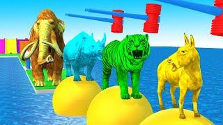 mystery key cage game challenge choose their animals  Rhinoceros Mammoth Tiger Cat Donkey