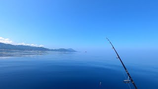 青物探索隊の夏