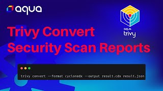 Trivy CLI convert scan reports