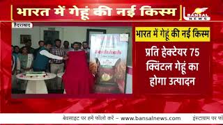 Hindi - News from Bansal news  on NWS-2194 Badshah wheat variety product launch