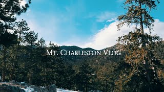 Vegas Vlog | Mt. Charleston Lee Canyon Day Trip