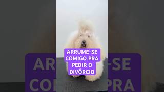 ARRUME-SE COMIGO PARA O DIVÓRCIO (versão pet) 😂 #pets #grooming #vidapet #esteticapet