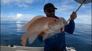 Slow pitch jigging. Big Nanny’s