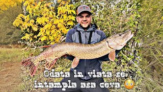 🎣 Am prins stiuca mare si biban record la spinning 🎣 am avut cea mai tare partida de pescuit 🎣