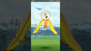 This Girl Is On Fire 🔥Pokedex #146 Moltress Lgendary Pokemon | Fire Flying Pokemon | #pokemongo