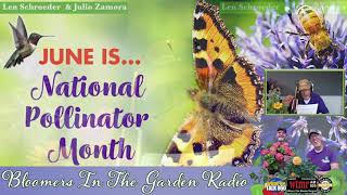 You Can Save the World!!! Plant More Pollinators!!! | June is National Pollinator Month | BITG