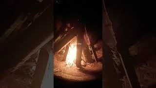 #bonfire #youtubeshorts #asmr #viralvideo #shorts #satisfying #fire