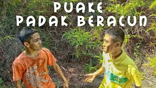 PUAKE PADAK BERACUN-FILM SAMBAS