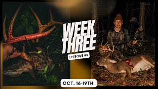 VIRGINIA 10 POINTER GRUNTED TO 25 YARDS! | CALLING DEER IN PRE-RUT | EP. 5 | Deer Season 2024