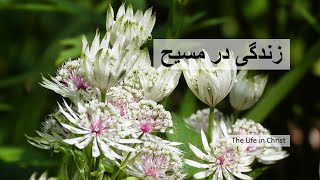 Living the Life in Christ   زندگی در مسیح