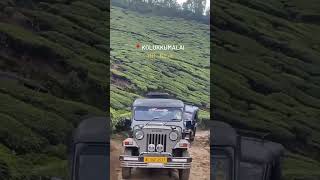 Must visit place in Munnar | kolukkumalai off-road | Jeep safari #munnar #shorts #trending #trekking