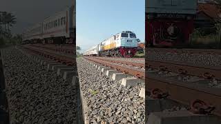 Kereta Api Cikuray #keretaapi #garutngehits #shortvideo #garut #garutkota #shortsfeed #shortvideo