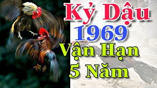 Kỷ Dậu 1969 Vận Hạn 5 Năm sẽ Có Những Biến Động Gì Hay Tìm Hiểu nhé