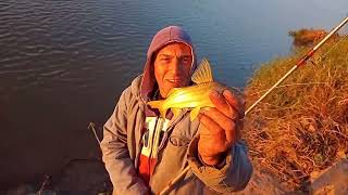 PESCA NOCTURNA ( Sauce viejo -Rio Coronda ) CAPITULO 17