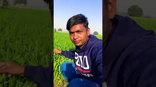 मेरा पिंड भाई #shorts #viral