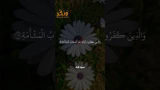 سورة البلد الآيات من 19 إلى 20 بصوت القارئ سعد الغامدي #حالات  #quran #قرآن  #shorts