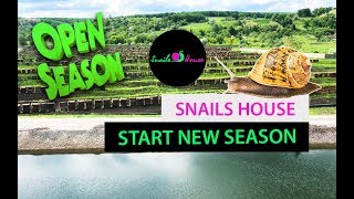 Snails House~ Start new season~