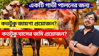 একটি গাভী পালনের জন্য কতটুকু জায়গার প্রয়োজন? কতটুকু ঘাসের জমির প্রয়োজন? dairy farm West Bengal.