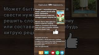 #таро Карта Вашего Дня на Сегодня! #shorts #shortsvideo