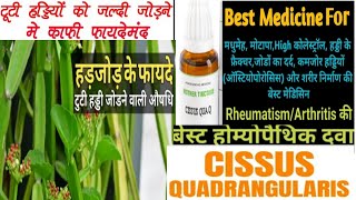 Cissus Quadrangularis Q/Best Medicine For Bones & Joints Diseases/Bones Fractured/Crackling ofJoints