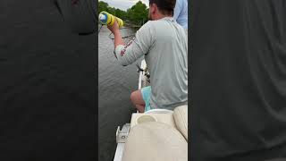 Catfish caught on a homemade noodle!