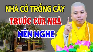 TRỒNG CÂY trước cửa nhà "NÊN NGHE" - Thầy Thích Nhuận Đức