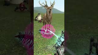 Experiment Zoochosis Animals Transformation into Mutant’s Part 2 in Garry’s Mod