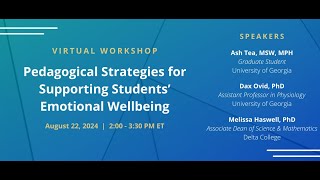 Pedagogical Strategies for Supporting Students’ Emotional Wellbeing