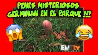 PENES MISTERIOSOS Germinan EN EL PARQUE | Videos De PENES