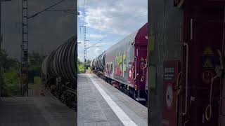 Br 185 063 mit einem Güterzug in Herrenkrug #train #zug #railway #eisenbahn #br185 #güterzug #shorts