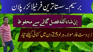 Optimized Nutrient Plan for High-Yield Berseem |زبردست فارمولا۔  ہر لو 25 دن میں کٹائی کیلئے تیار |