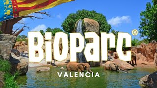 BIOPARC VALENCIA | Conoce el papel importante que juega este parque en los animales del mundo.