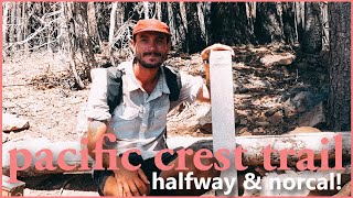 Halfway!! 1,325 Miles in 46 days - Pacific Crest Trail ep.10