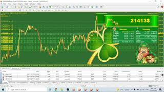 Happy Halloween! Live Market Robot Review | FXTM Robot Forward Testing