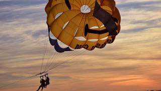 Eight Amazing Things to See While Parasailing in Miami Beach