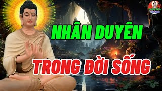 Nhân Duyên Trong Đời Sống - Hãy Tuỳ Duyên Và Hoan Hỉ Chấp Nhận Những Gì Đang Xảy Ra Trong Hiện Tại