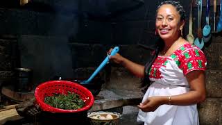 Prepare riquísimas Verdolagas con huevo. 😋