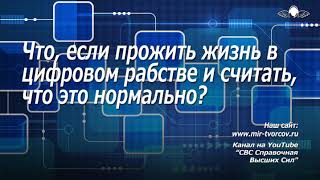 732 Что, если прожить жизнь в цифровом рабстве и считать, что это нормально