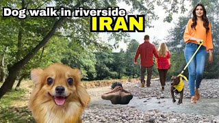 4K Virtual Hike Near River through the Forest with my puppy : Dog walk in riverside in Iran