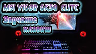 Клавиатура MSI Vigor GK50 Elite! ЗВУЧАНИЕ КЛАВИШ!!!!