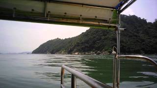 Tai O Dophin Tour 2014May 6